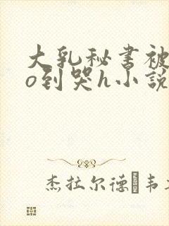 大乳秘书被cao到哭h小说封面