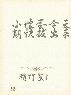小坏蛋今天危险期快拔出来封面