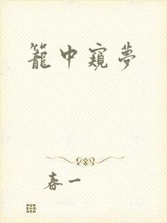 笼中窥梦