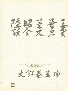 陆昭菱晋王的小说全文免费阅读