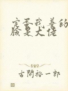 完蛋我养的小白脸是大佬