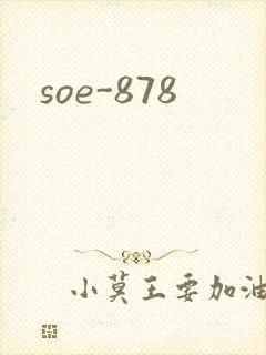 soe-878