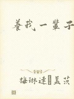 养我一辈子封面