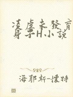 凌虐未发育的小身子H小说