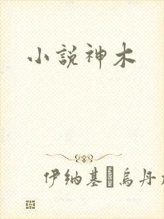 小说神木封面