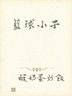 篮球小子