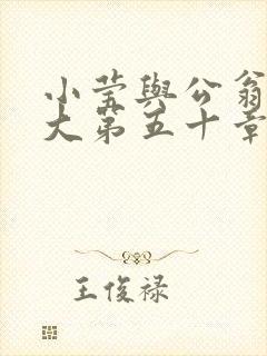 小莹与公翁熄粗大第五十章封面