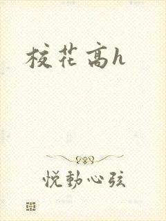 校花高h