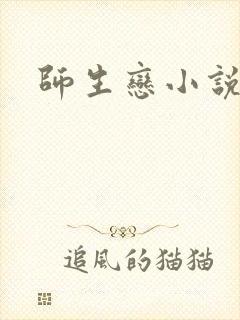师生恋小说