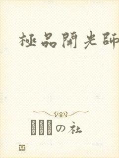 极品开光师封面