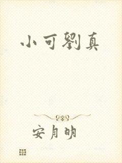小可刘真封面