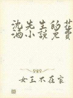 沈先生的花式调酒小说免费阅读
