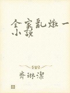 全家乱炖一锅烩小说封面