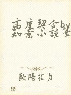 高度契合by洛知意小说笔趣阁无弹窗封面