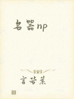 名器np