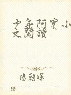 少年阿宾小说全文阅读