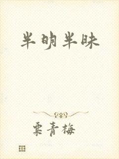 半明半昧