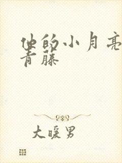 他的小月亮by青藤