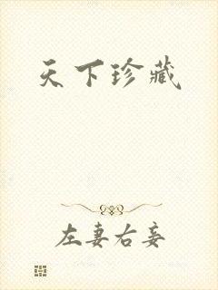 天下珍藏