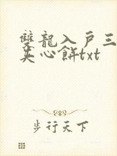 双龙入户三人行夹心饼txt