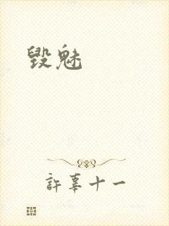 毁魅