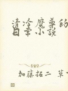 清冷魔尊的抹布日常小说