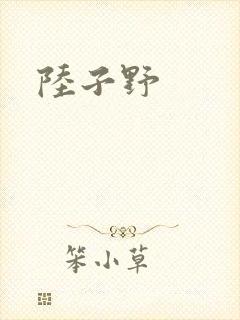 陆子野封面