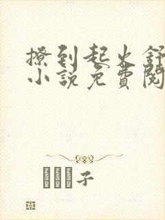 撩到起火舒漾的小说免费阅读全文