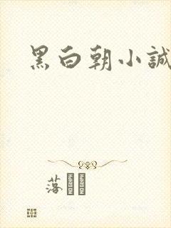 黑白朝小诚封面