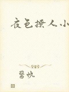 夜色撩人小说封面