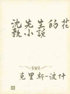 沈先生的花式调教小说