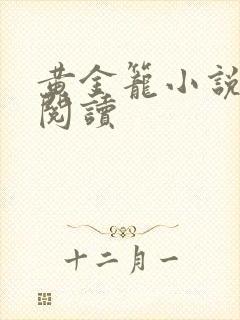 黄金笼小说免费阅读