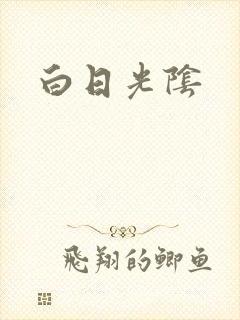 白日光阴