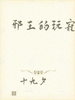 邪王的玩宠封面