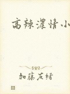 高辣浓情小说