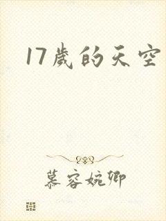 17岁的天空封面