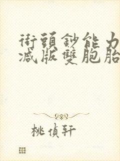 街头钞能力无删减版双胞胎