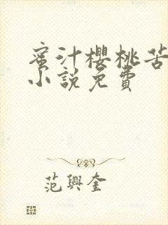 蜜汁樱桃苦咖啡小说免费