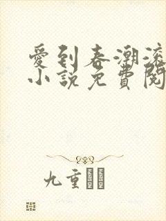 爱到春潮滚滚来小说免费阅读