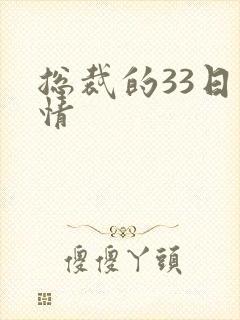 总裁的33日索情