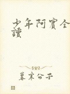 少年阿宾全集阅读