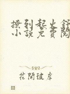 撩到起火舒漾的小说免费阅读全文封面