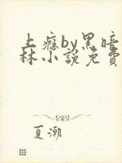 上瘾by黑暗森林小说免费