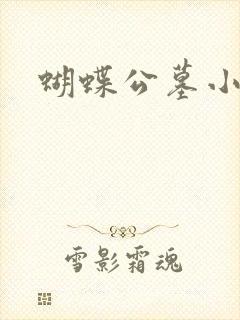 蝴蝶公墓小说