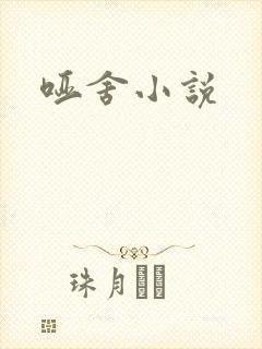 哑舍小说封面