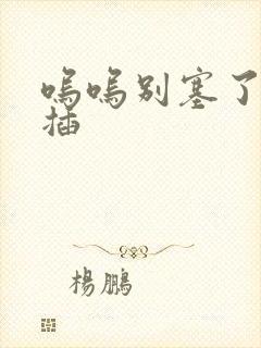 呜呜别塞了啊抽插