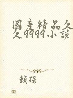 国产精品久久久久9999小说