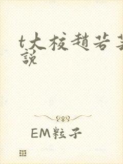t大校赵若芸小说封面