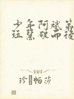 少年阿斌第二部珏慧破而后立