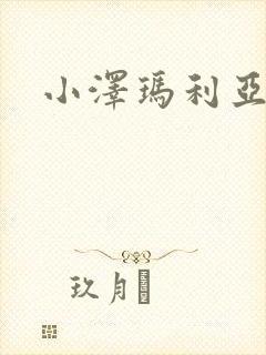 小泽玛利亚作品封面